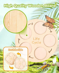 Montessori Life Cycle Learning Toy – 4 Sets of Realistic Insect Models with Cards & Wooden Board