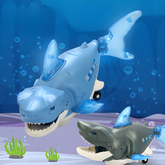 FinRover