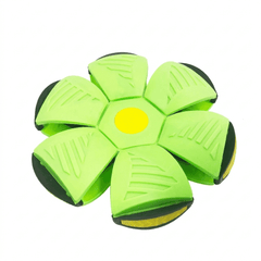 MorphoFly