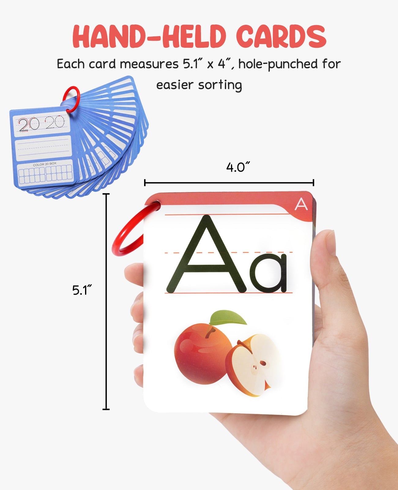 Dry Erase Alphabet & Number Flash Cards (47 Pcs) – Reusable Writing Set with Ten Frames & Directional Arrows