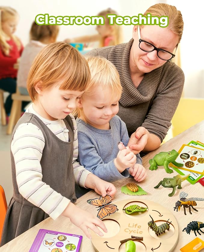 Montessori Life Cycle Learning Toy – 4 Sets of Realistic Insect Models with Cards & Wooden Board
