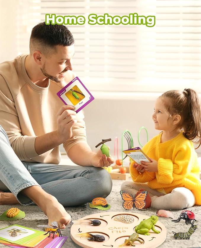 Montessori Life Cycle Learning Toy – 4 Sets of Realistic Insect Models with Cards & Wooden Board