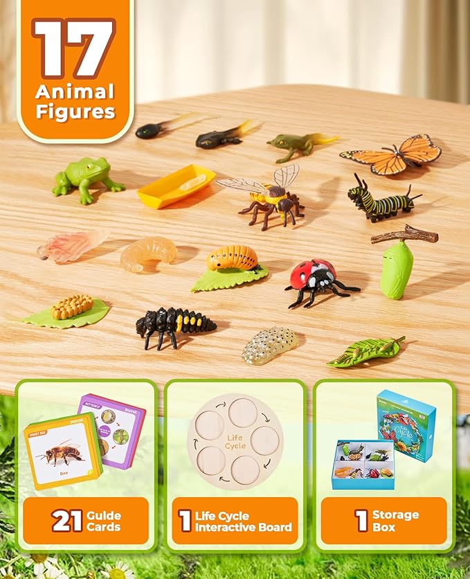 Montessori Life Cycle Learning Toy – 4 Sets of Realistic Insect Models with Cards & Wooden Board