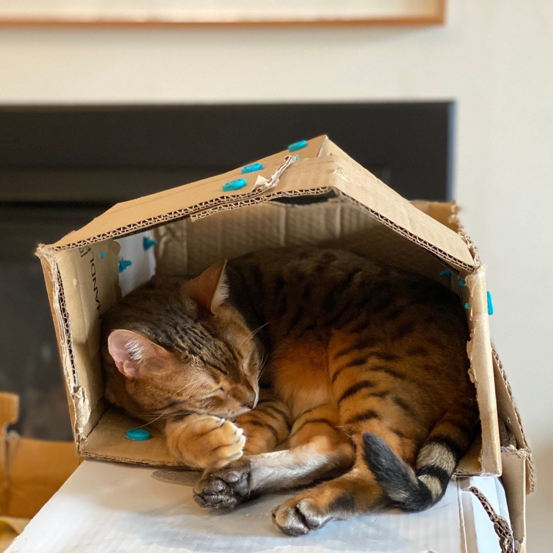 Explore Kit