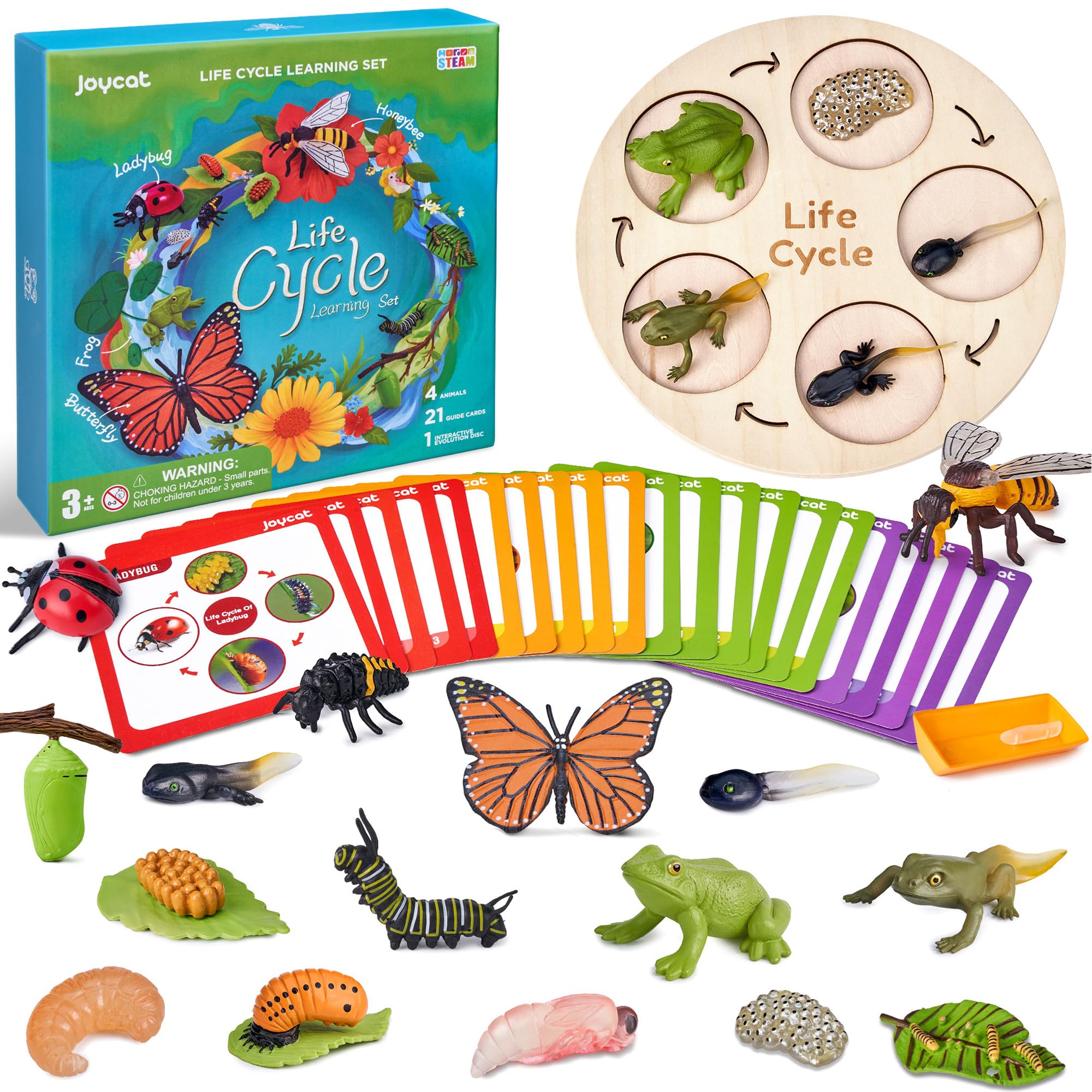 Montessori Life Cycle Learning Toy – 4 Sets of Realistic Insect Models with Cards & Wooden Board